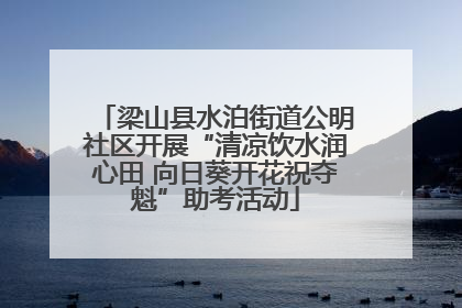 梁山县水泊街道公明社区开展“清凉饮水润心田 向日葵开花祝夺魁”助考活动
