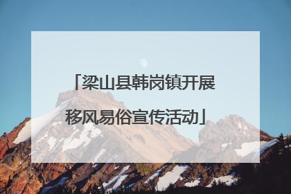 梁山县韩岗镇开展移风易俗宣传活动