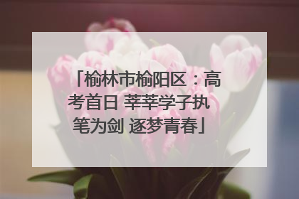 榆林市榆阳区：高考首日 莘莘学子执笔为剑 逐梦青春