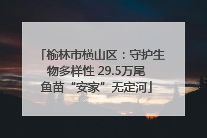 榆林市横山区：守护生物多样性 29.5万尾鱼苗“安家”无定河