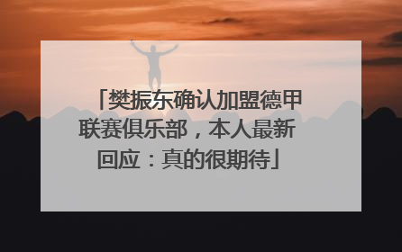 樊振东确认加盟德甲联赛俱乐部，本人最新回应：真的很期待