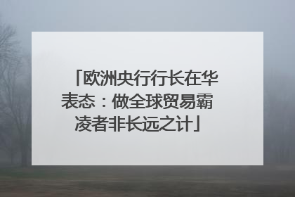 欧洲央行行长在华表态：做全球贸易霸凌者非长远之计