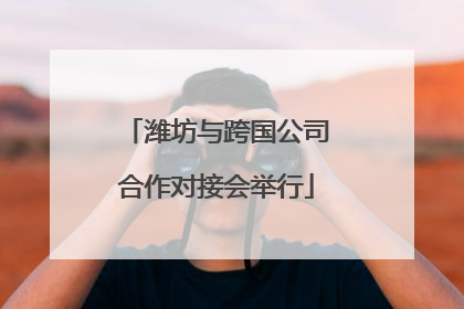 潍坊与跨国公司合作对接会举行