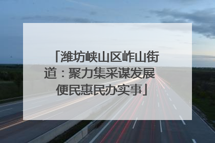 潍坊峡山区岞山街道：聚力集采谋发展 便民惠民办实事