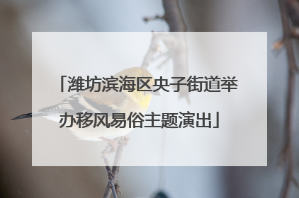 潍坊滨海区央子街道举办移风易俗主题演出