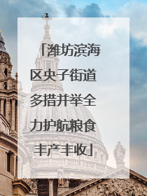 潍坊滨海区央子街道多措并举全力护航粮食丰产丰收