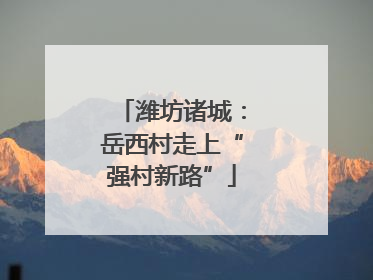潍坊诸城：岳西村走上“强村新路”