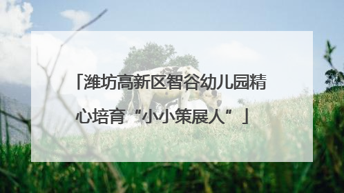 潍坊高新区智谷幼儿园精心培育“小小策展人”