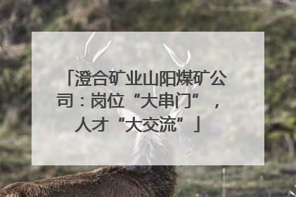 澄合矿业山阳煤矿公司：岗位“大串门”，人才“大交流”