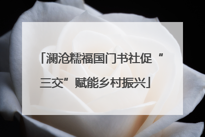 澜沧糯福国门书社促“三交”赋能乡村振兴