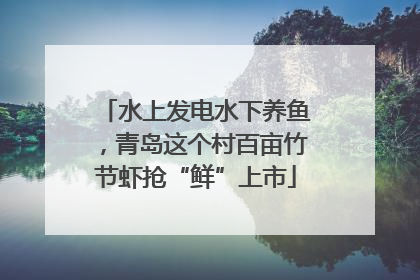 水上发电水下养鱼，青岛这个村百亩竹节虾抢“鲜”上市