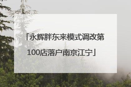 永辉胖东来模式调改第100店落户南京江宁