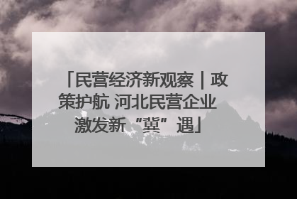 民营经济新观察｜政策护航 河北民营企业激发新“冀”遇
