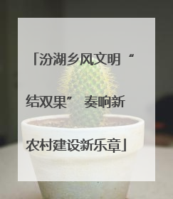 汾湖乡风文明“结双果” 奏响新农村建设新乐章