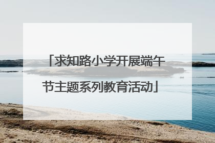 求知路小学开展端午节主题系列教育活动