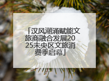 汉风潮涌赋能文旅商融合发展2025未央区文旅消费季启幕