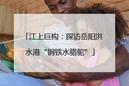 江上巨构：探访岳阳洪水港“钢铁水骆驼”