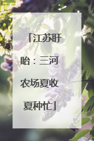 江苏盱眙：三河农场夏收夏种忙
