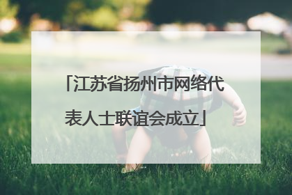 江苏省扬州市网络代表人士联谊会成立