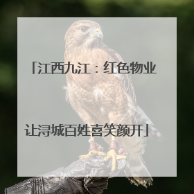 江西九江：红色物业让浔城百姓喜笑颜开