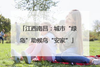 江西南昌：城市“绿岛”助候鸟“安家”