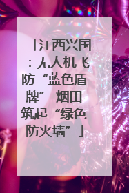 江西兴国：无人机飞防“蓝色盾牌” 烟田筑起“绿色防火墙”