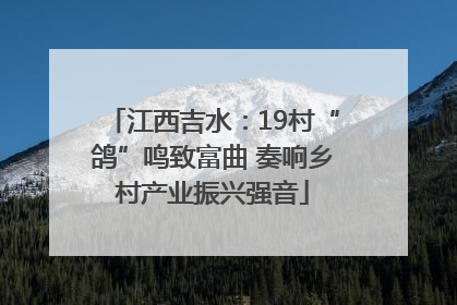 江西吉水：19村“鸽”鸣致富曲 奏响乡村产业振兴强音