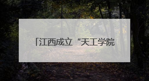 江西成立“天工学院”联盟 计划三年内建设多个境外学院