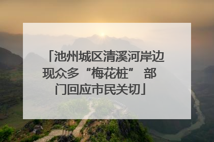 池州城区清溪河岸边现众多“梅花桩” 部门回应市民关切
