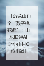 沂蒙山有个“数字桃花源”：山东联通AI让小山村C位出道