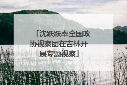 沈跃跃率全国政协视察团在吉林开展专题视察
