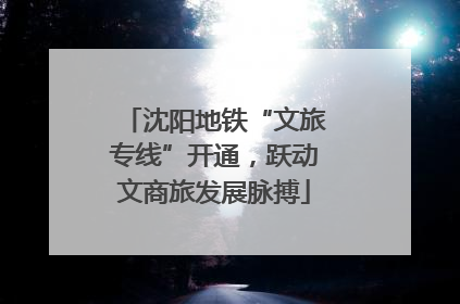 沈阳地铁“文旅专线”开通，跃动文商旅发展脉搏