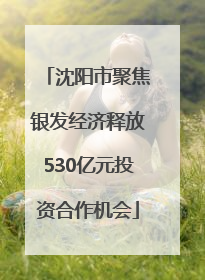 沈阳市聚焦银发经济释放530亿元投资合作机会