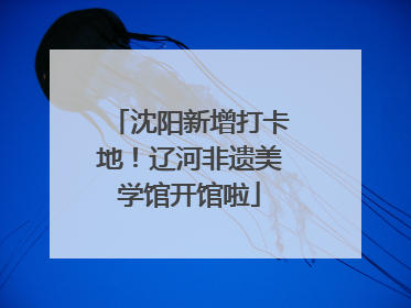 沈阳新增打卡地！辽河非遗美学馆开馆啦