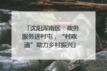 沈阳浑南区：政务服务进村屯，“村政通”助力乡村振兴