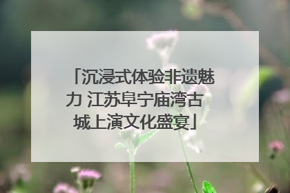 沉浸式体验非遗魅力 江苏阜宁庙湾古城上演文化盛宴