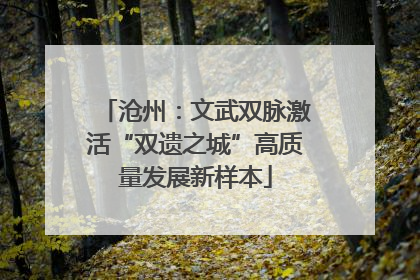 沧州：文武双脉激活“双遗之城”高质量发展新样本