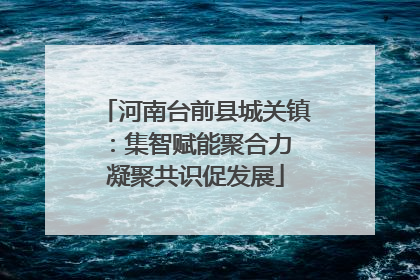河南台前县城关镇：集智赋能聚合力 凝聚共识促发展