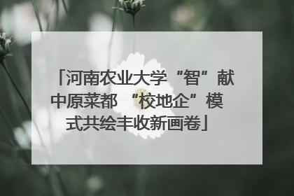 河南农业大学“智”献中原菜都 “校地企”模式共绘丰收新画卷