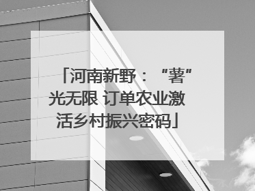 河南新野：“薯”光无限 订单农业激活乡村振兴密码