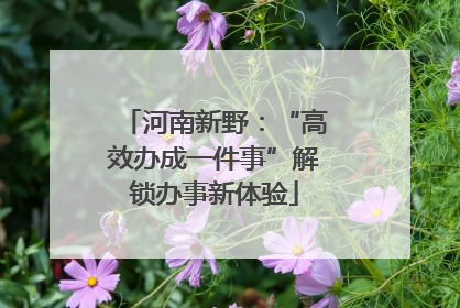 河南新野：“高效办成一件事”解锁办事新体验