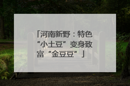 河南新野：特色“小土豆”变身致富“金豆豆”