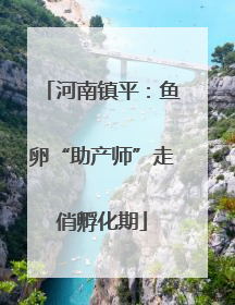河南镇平：鱼卵“助产师”走俏孵化期