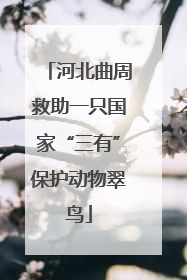 河北曲周救助一只国家“三有”保护动物翠鸟