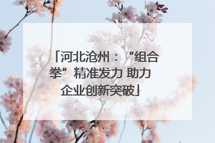 河北沧州：“组合拳”精准发力 助力企业创新突破