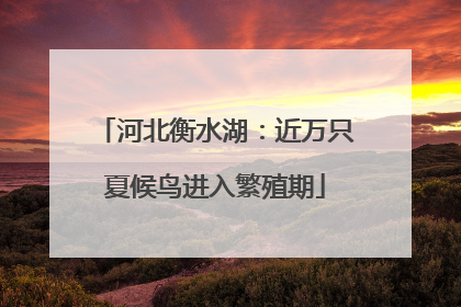 河北衡水湖:近万只夏候鸟进入繁殖期