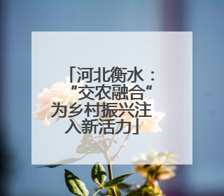 河北衡水：“交农融合”为乡村振兴注入新活力