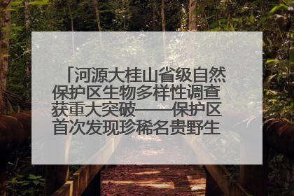 河源大桂山省级自然保护区生物多样性调查获重大突破——保护区首次发现珍稀名贵野生干巴菌与钝尾两头蛇