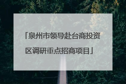 泉州市领导赴台商投资区调研重点招商项目