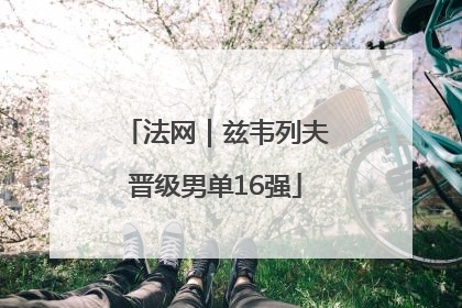 法网｜兹韦列夫晋级男单16强